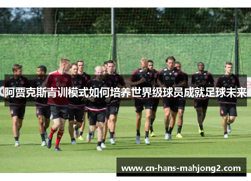 阿贾克斯青训模式如何培养世界级球员成就足球未来